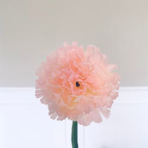 Pale Pink Carnation Stem