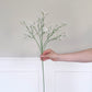 Gypsophila Spray