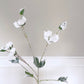 Luxury White Snowy Hellebore Stem