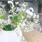 Gypsophila Spray