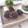 Set of 4 Faux Pinecones