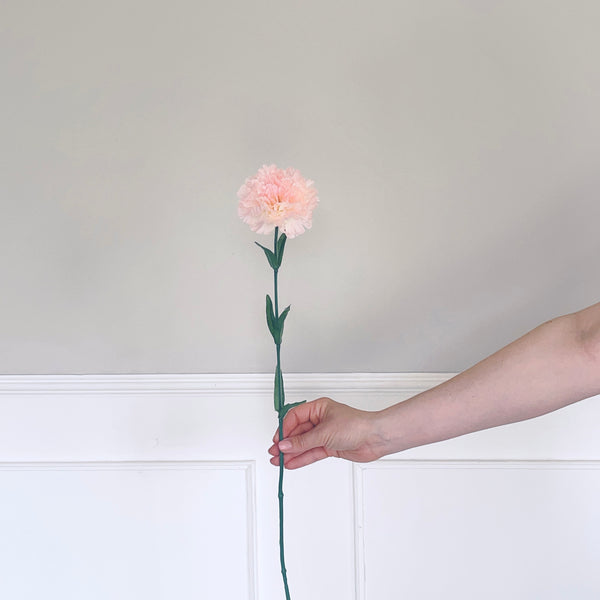 Pale Pink Carnation Stem