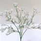 Gypsophila Spray