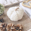 White Teddy Pumpkin