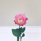 Pink Rose Bud Stem