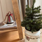 Mini Christmas Tree