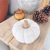 Cream Pumpkin