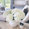 Large Ivory Mophead Hydrangea