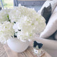 Large Ivory Mophead Hydrangea