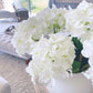 Large Ivory Mophead Hydrangea