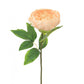 Blush Pink Peony Stem