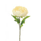 Cream Peony Stem