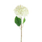 Large Ivory Mophead Hydrangea