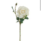 Dried Touch Ivory Rose Spray