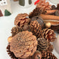 Pinecone and Cinnamon Wreath