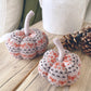 Autumn Knitted Pumpkin
