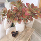 Autumn Spray