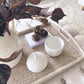 Acorn Pot