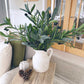Olive Spray