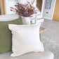 Pumpkin Cushion