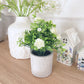 Faux White Floral Plant in Pot