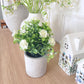 Faux White Floral Plant in Pot