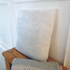 Cushion Insert
