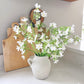 Lily Jug
