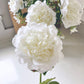 Real Touch Large Open White Peony Stem