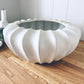 White Pod Bowl Vase