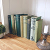 Antique Books Blue