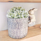 Metallic Plant Pot