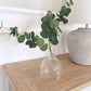 Glass Bud Vase