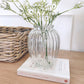 Glass Ribbed Vase