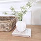 White Ribbed Vase