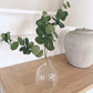 Glass Bud Vase