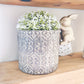 Metallic Plant Pot
